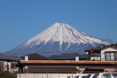 DSCF7979.jpg