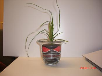 CIMG0426_convert_20141117131639.jpg