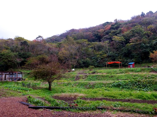 R0022745.jpg