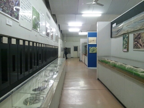 p20121124-155617.jpg