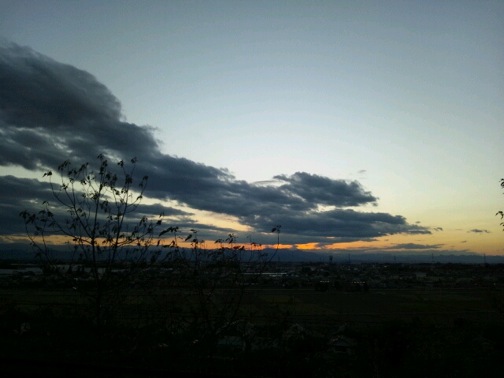 p20121124-163245.jpg