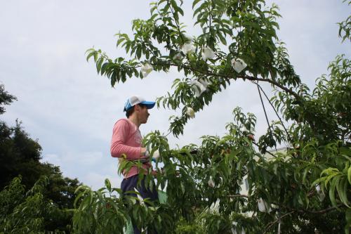 IMG_4059_convert_20120628001152.jpg