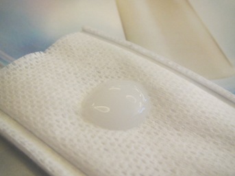 lunamer20120725 (18)