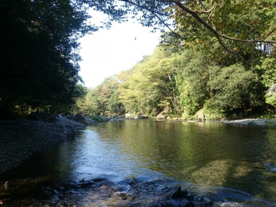 2014102518403441f.jpg