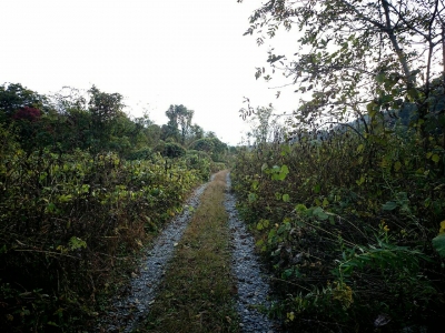 201410261739481a7.jpg