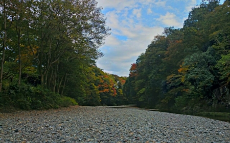 20141103204434c0f.jpg
