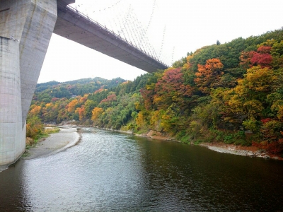 201411081803176d8.jpg