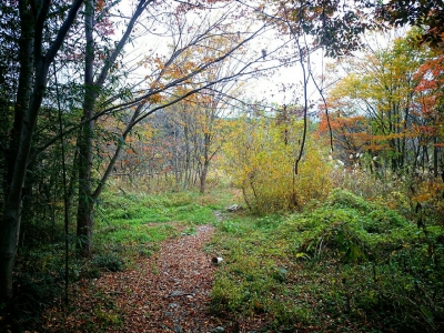 20141108180325276.jpg