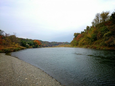 20141108180334cb6.jpg
