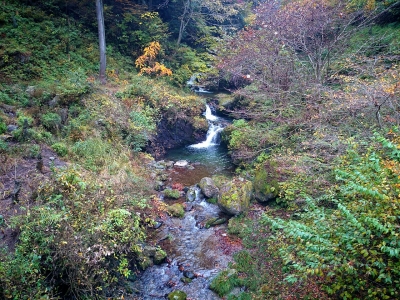 201411091954308b2.jpg