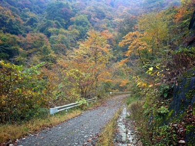 20141109195441815.jpg