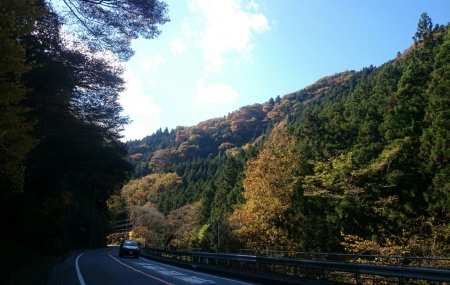 201411151819554f9.jpg
