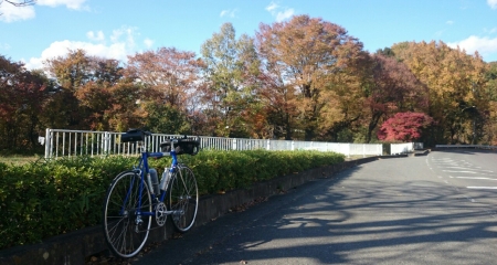 201411151820382a4.jpg