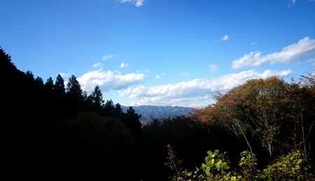 2014111518224017e.jpg