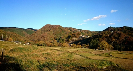 20141115182923977.jpg