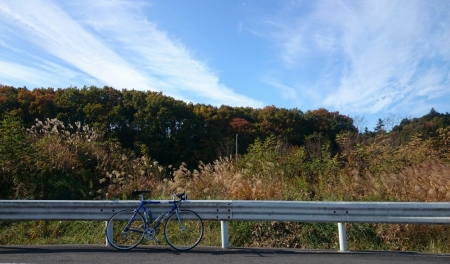 20141117184743bc0.jpg