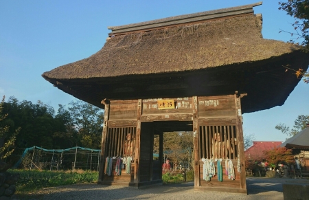 20141117191916646.jpg