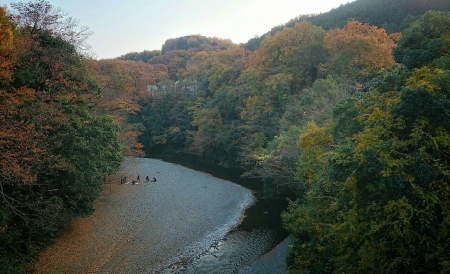 2014112418002980c.jpg