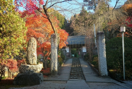 201411250914538cd.jpg