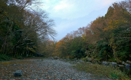 20141130170718dff.jpg