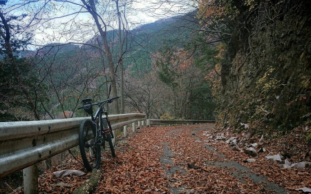 20141207163755bd0.jpg