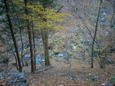 201412071638522a0.jpg
