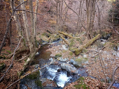 201412071639086c0.jpg