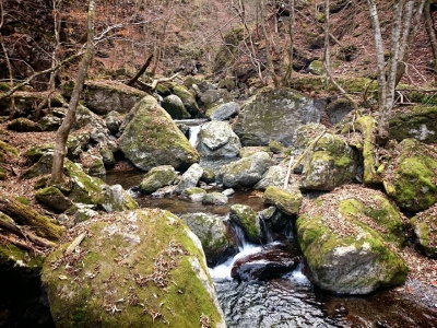 20141207164014ca2.jpg
