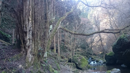 20141213163435cbd.jpg