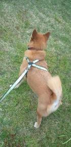 mfy@20130504tanbo01C.jpg