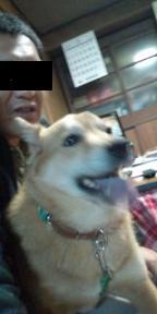 mfy@20130504tanbo04G.jpg