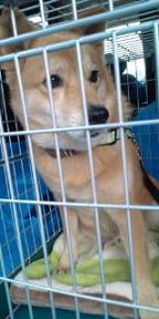 mfy@20130504tanbo05C.jpg