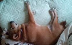 mfy@20130529futon01.jpg