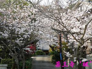 130324-1.jpg
