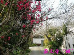 130324-3.jpg