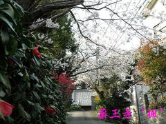 130324-5.jpg
