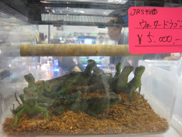 JRS2012
