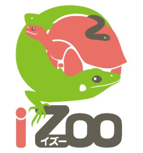 izoo