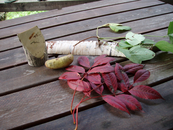 P9270010.jpg