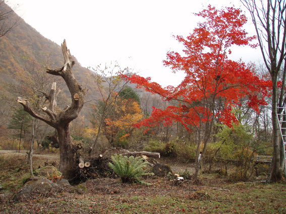 PB090003.jpg