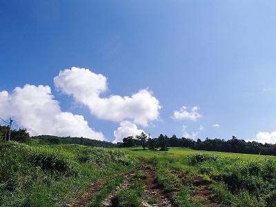 P8310562.jpg