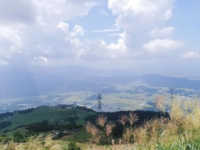 P8310625.jpg