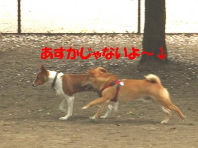 1b20120602 005