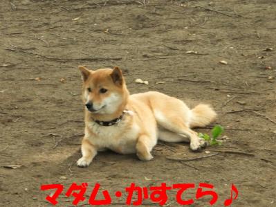 1b20120602 013