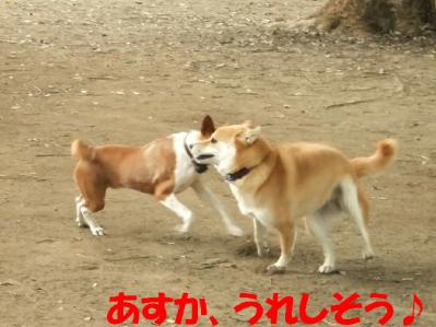 1b20120602 017
