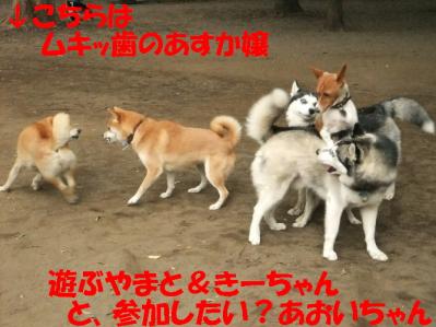1b20120602 033