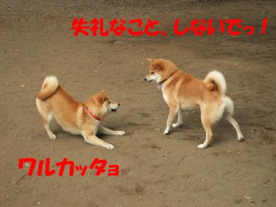 1b20120602 034