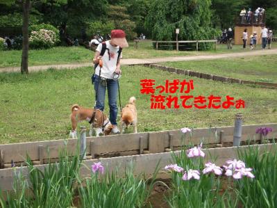1b20120602 009