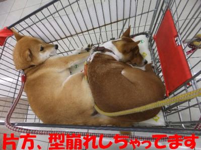 1b20120602 035