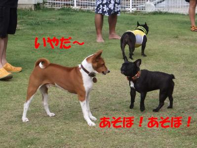 1b20120813 008